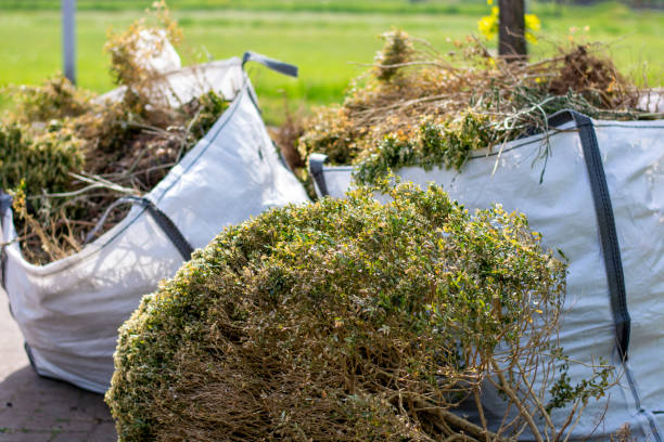 Trusted Denver City, TX Junk Removal Experts